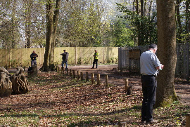 Tree inspection training, Surrey